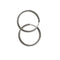 Elixir Elegant Earring