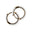 Eternal Deity Earrings