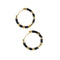 Golden Ember in Black
