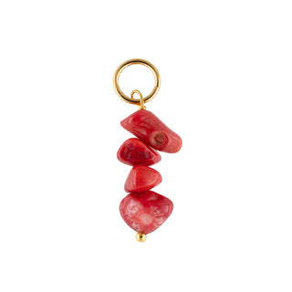 Enigmagnet Charm