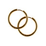 Luna Lover Earrings